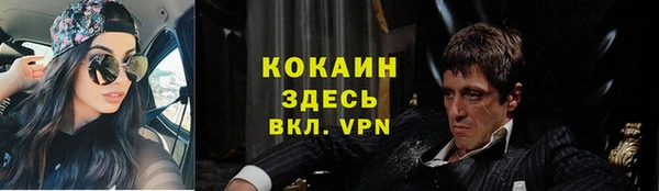 соль ск Алзамай