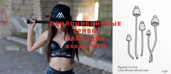 соль ск Алзамай