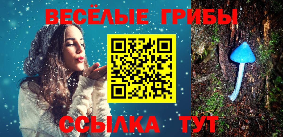 Псилоцибиновые грибы Psilocybe Лабинск