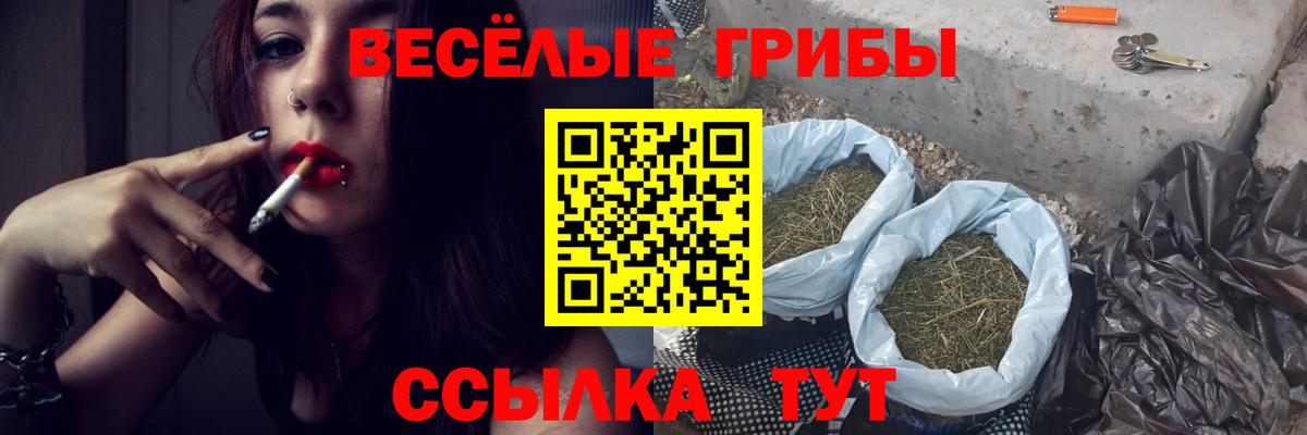 Псилоцибиновые грибы Psilocybe  Вход с VPN  Лабинск 